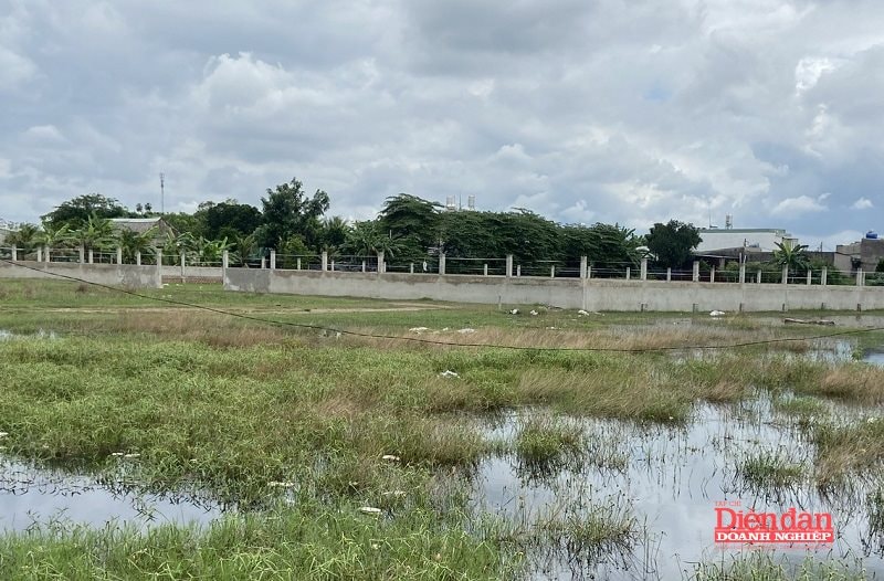 Hải Phòng Chuyển Đổi Cấu Trúc Tài Chính Công: Giảm Phụ Thuộc vào Tiền Sử Dụng Đất